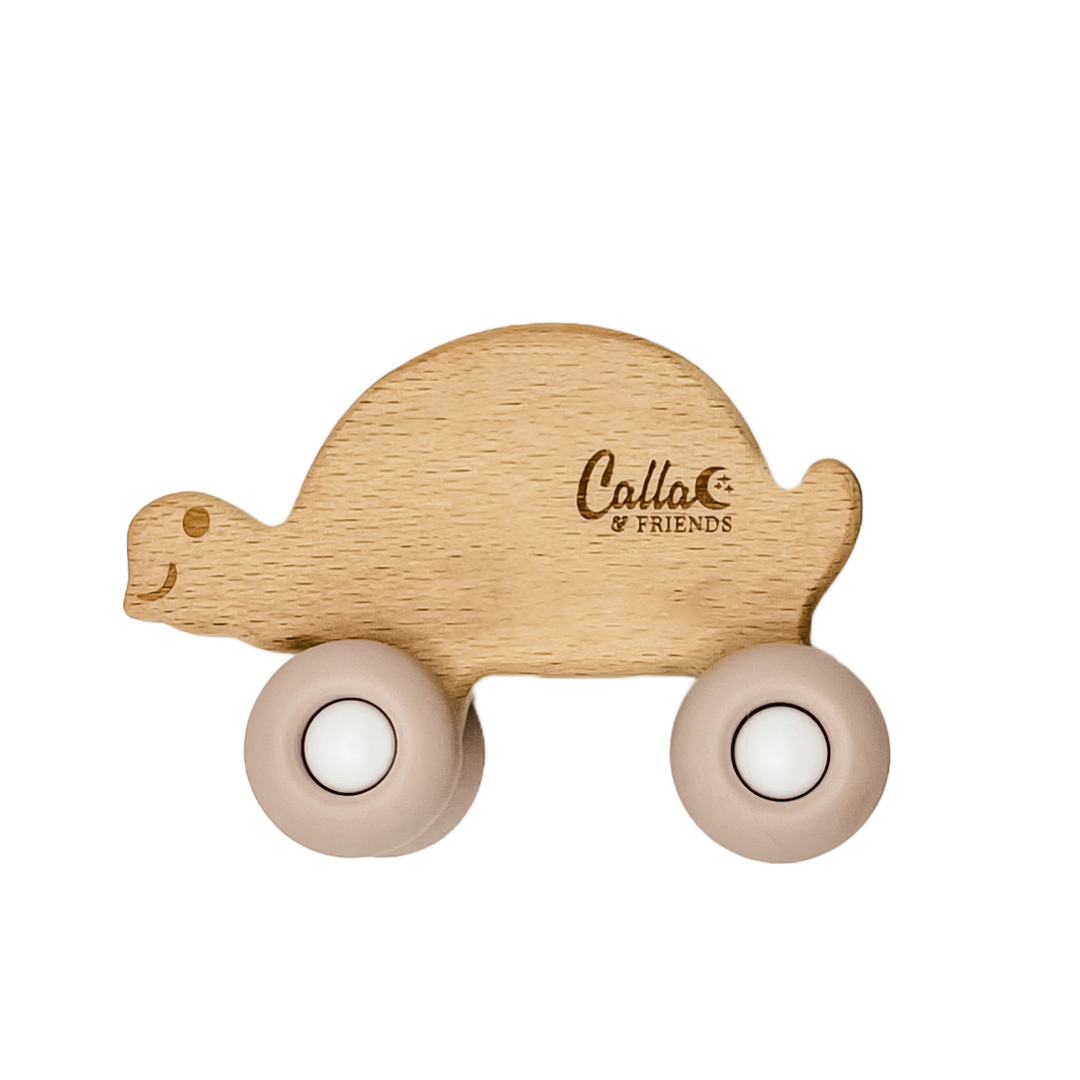 Rollin' Friends - Turtle