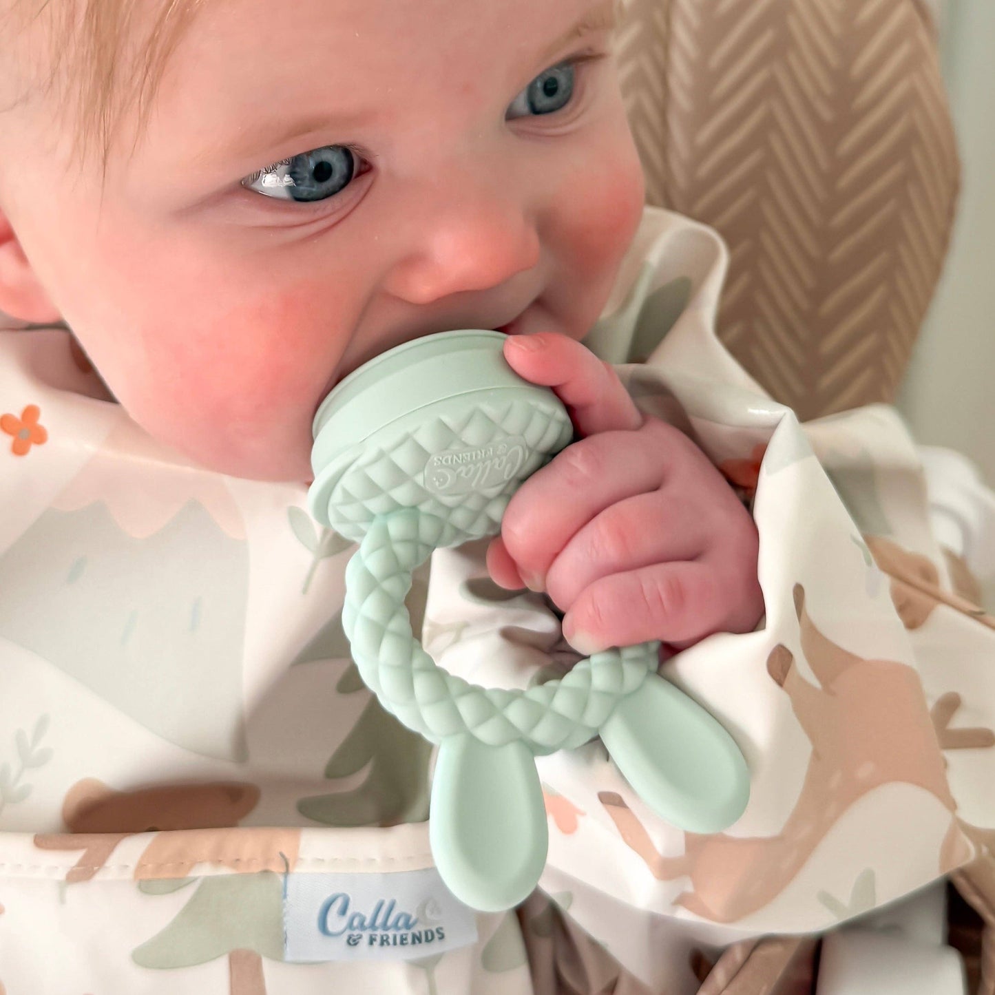 The Nourishing Nibbler Set